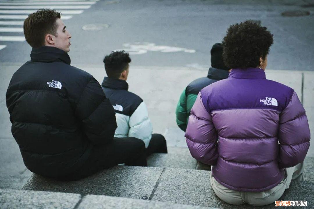 看车识“羽绒服”：北面好比大众，大鹅如同路虎，始祖鸟竟是王者