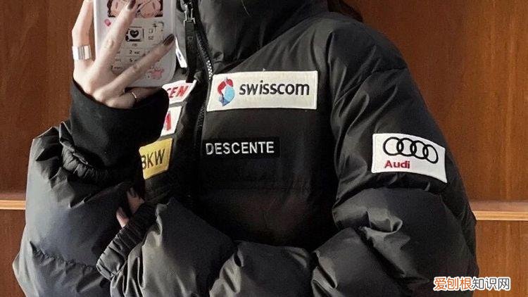 看车识“羽绒服”：北面好比大众，大鹅如同路虎，始祖鸟竟是王者