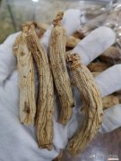 太极参的功效与作用