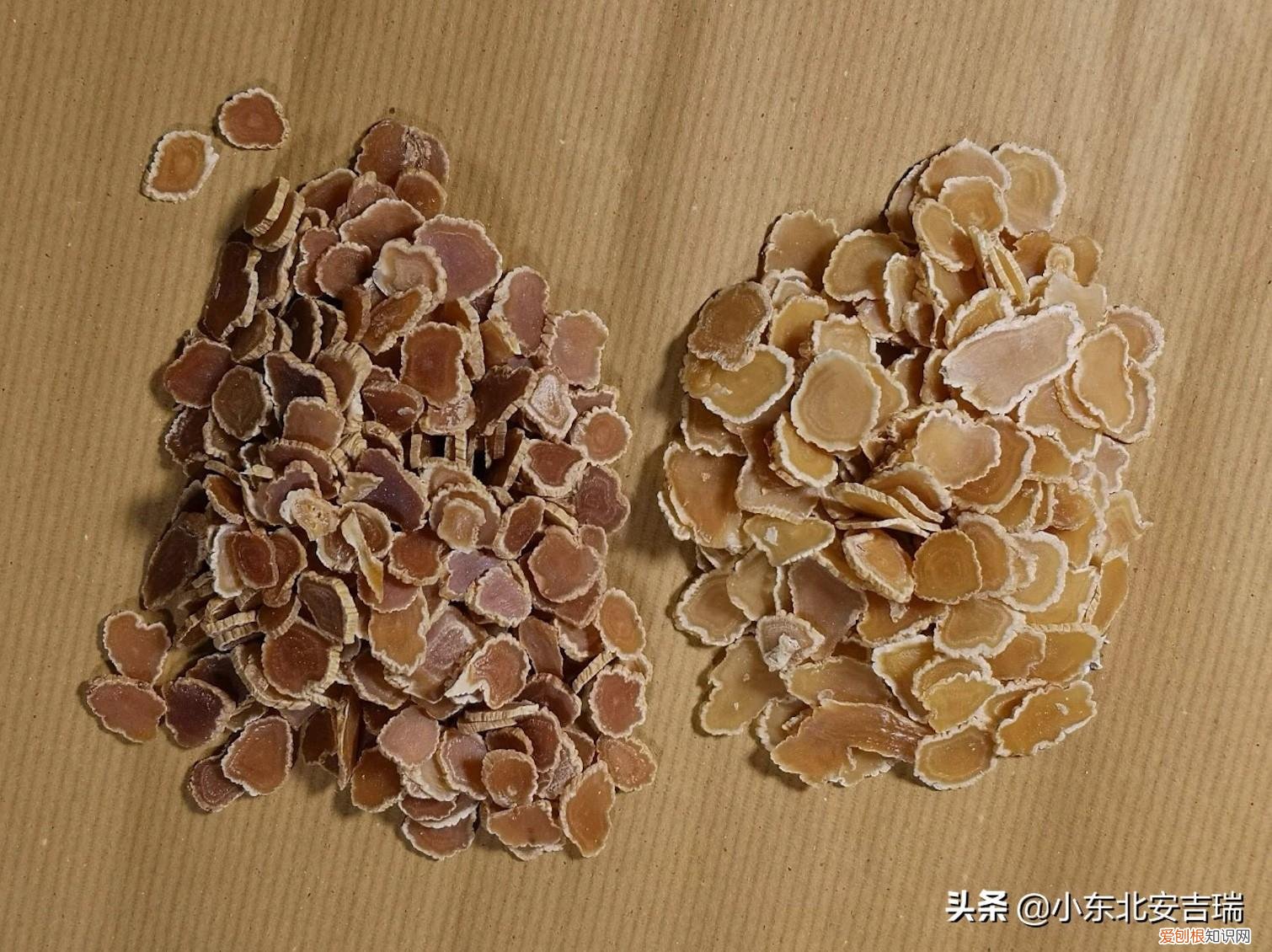 太极参的功效与作用