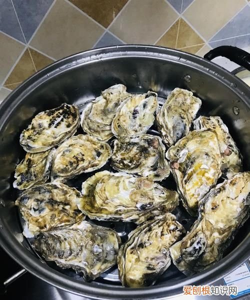 蒸生蚝需要开壳吗，蒸生蚝需要封保鲜膜