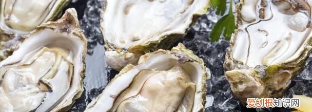 生蚝冷冻了还能吃吗,冷冻的生蚝煲汤后还能吃