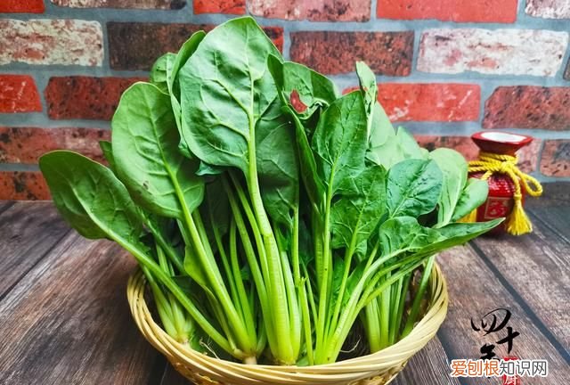 6种自带毒素的蔬菜食用前需焯水