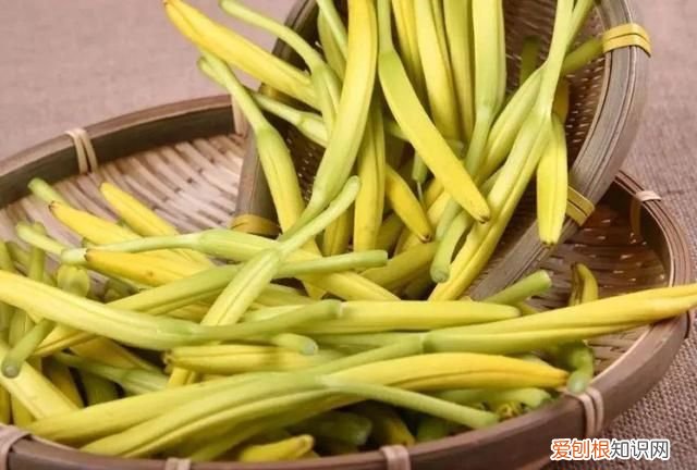 6种自带毒素的蔬菜食用前需焯水