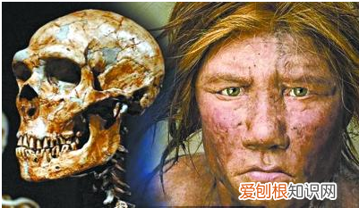 全球的科学骗局中,皮尔当人骗局位居首位,40年都没被发现