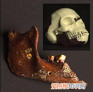 全球的科学骗局中，皮尔当人骗局位居首位，40年都没被发现