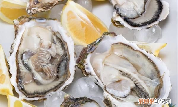 生蚝开口了还能吃吗