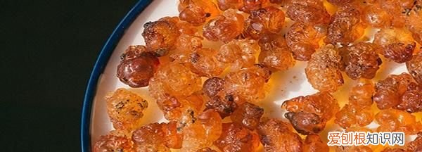 桃胶什么时候采摘,桃胶采摘处理过程