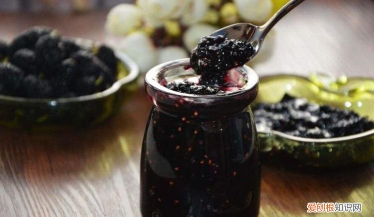 自制桑葚酱能放多久，桑葚果酱能不能用塑料瓶装