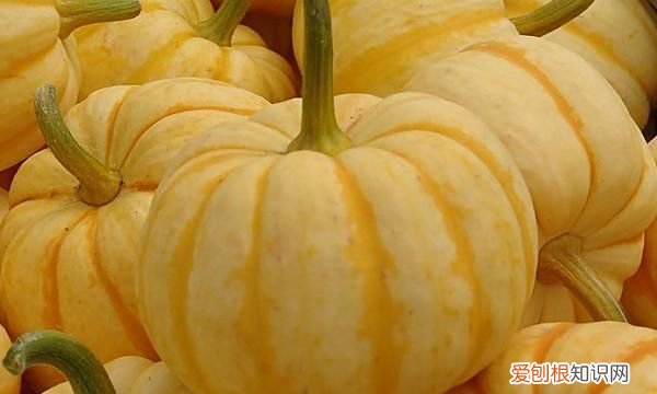 南瓜生的能吃吗,南瓜馒头生的打碎可以