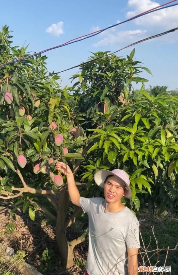 很丢人？百色男生用麻袋装芒果来柳州上学，一句话让网友怒赞！