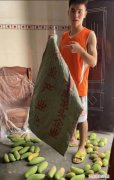 很丢人？百色男生用麻袋装芒果来柳州上学，一句话让网友怒赞！