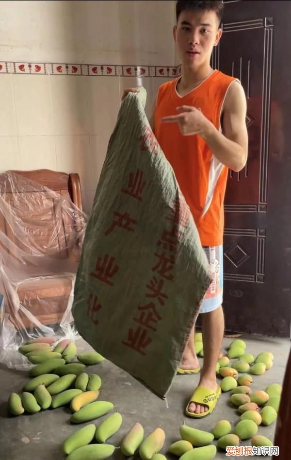 很丢人？百色男生用麻袋装芒果来柳州上学，一句话让网友怒赞！
