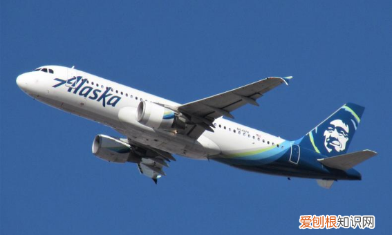 如何画飞机，苏联二战飞机怎么画!!!!南部的必须都是图片