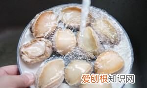 红烧鲍鱼做法,红烧鲍鱼家常的做法