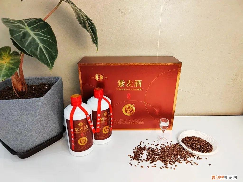 哪个特产最代表咱大栾城？