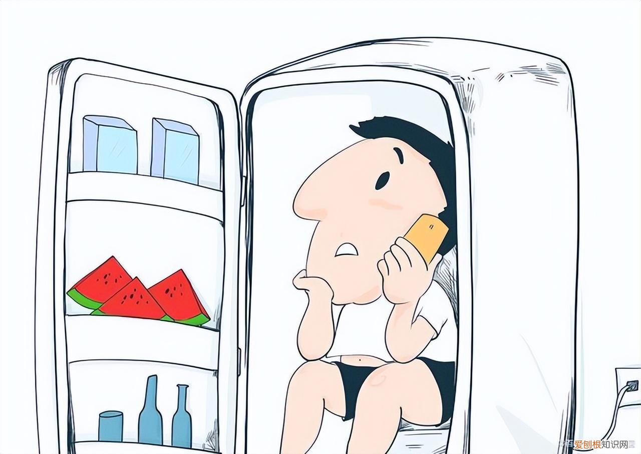 预算一千以内，宿舍公寓小冰箱推荐