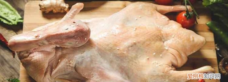 鸭肉怎么越煮越硬,鸭肉为什么越炖越硬