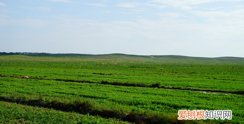 田地怎么测量亩数,土地田亩测量计算方法