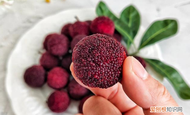 适合夏天喝的解暑汤有哪些,夏天喝什么解暑汤最好