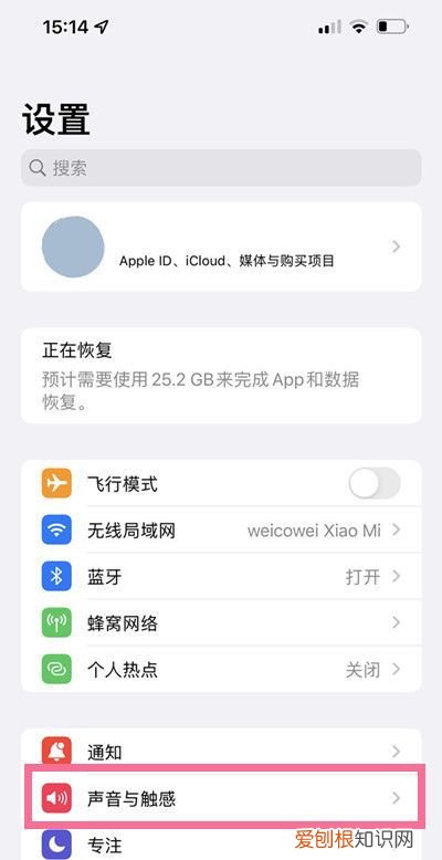 苹果手机该咋进行静音,苹果怎么静音模式不震动