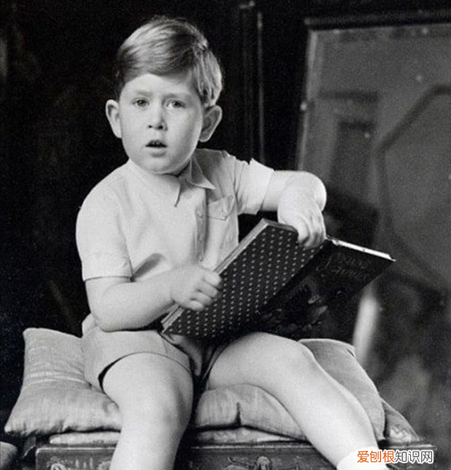 查尔斯为何年轻时没和卡米拉结婚