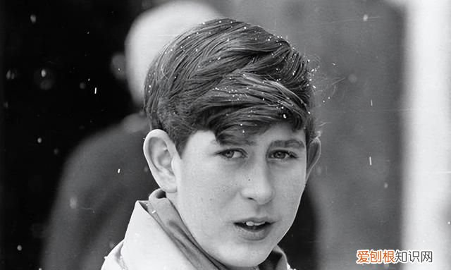 查尔斯为何年轻时没和卡米拉结婚