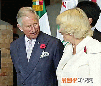 查尔斯为何年轻时没和卡米拉结婚