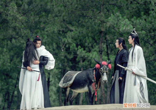 陈情令一部双男主剧官宣阵容,陈情令两人同时加盟的新剧