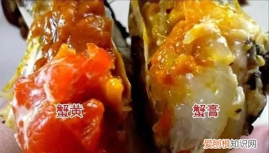 蟹膏是什么，蟹黄旁边白色的膏体是什么