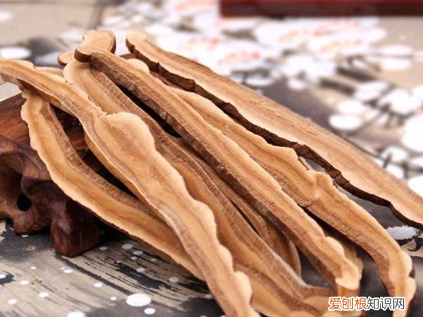 灵芝茶怎么泡不苦，灵芝茶怎么喝才健康