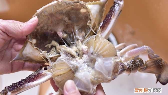 螃蟹怎么清洗，螃蟹的清洗方法是什么