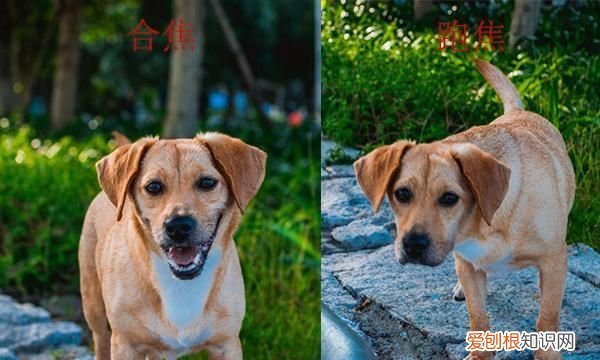 新手摄影的十大忠告 玩摄影必知