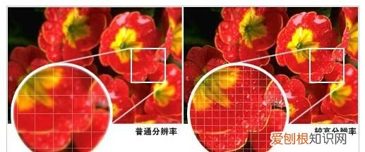 新手摄影的十大忠告 玩摄影必知