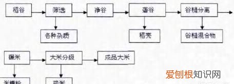 米类都有什么米,超市的大米为什么有的是半透明的农村老家种的却是纯白色的