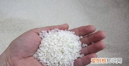 米类都有什么米,超市的大米为什么有的是半透明的农村老家种的却是纯白色的