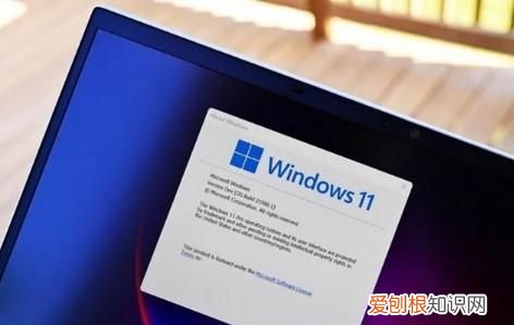 win11正式版吐槽 win11中文版详细教程