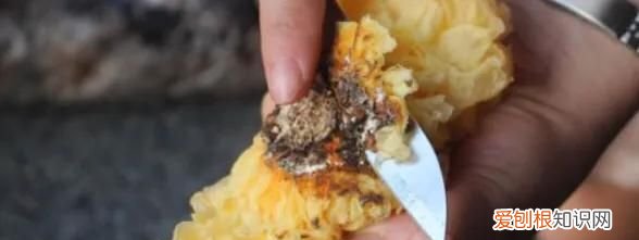 干银耳怎么清洗，鲜银耳怎么处理才能吃