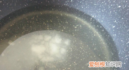 撞奶用的白凉粉是什么，蜜桃乌龙茶冻撞奶在家怎么做好喝