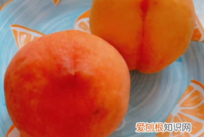 撞奶用的白凉粉是什么，蜜桃乌龙茶冻撞奶在家怎么做好喝