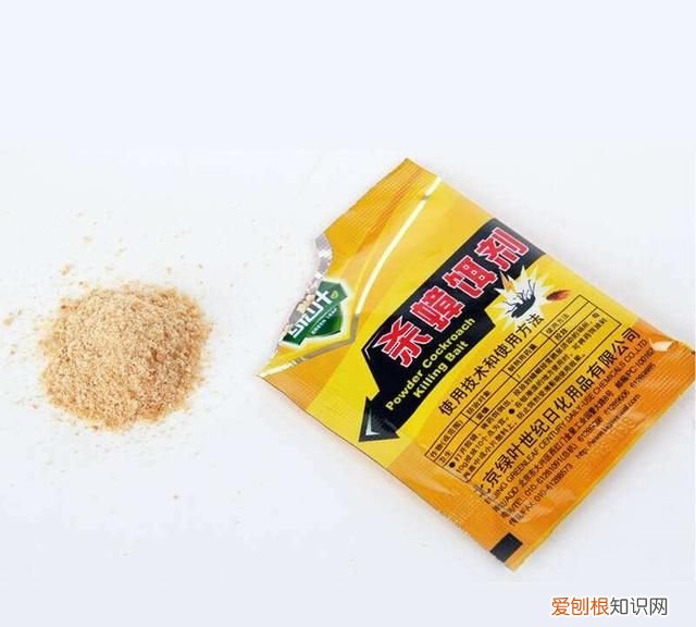 家里太多蟑螂怎么办,家里太多蟑螂了怎么办