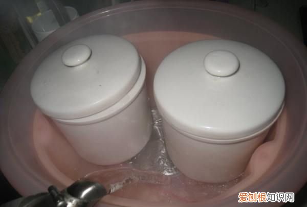 橄榄瘦肉汤怎么做,橄榄无花果瘦肉汤的功效和作用