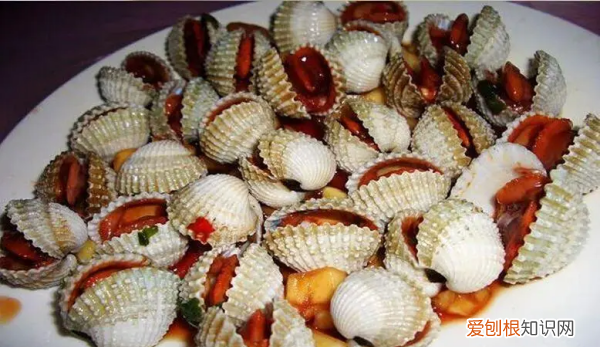 血蚶有寄生虫,血蚶功效与作用及食用方法