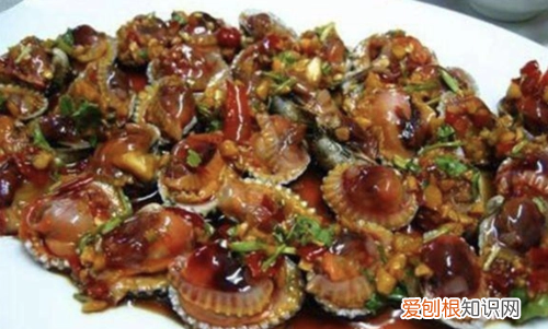 血蚶有寄生虫,血蚶功效与作用及食用方法