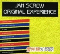 experience歌曲含义