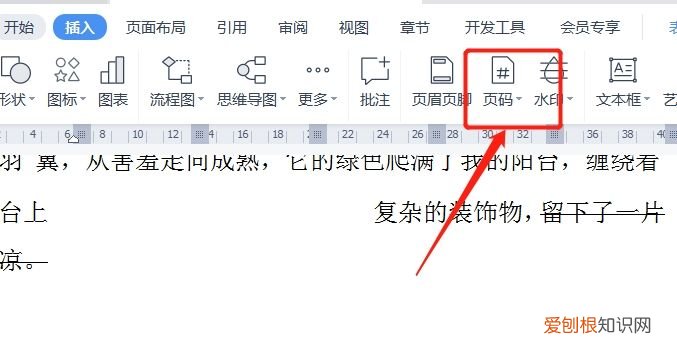 咋改页码,word为什么修改页码后每一页页码都一样