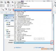 cdr导出怎么操作，cdrx4导出没有格式选项