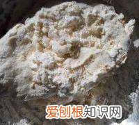 白面镘头的做法，自发小麦粉怎么做白面馒头的做法