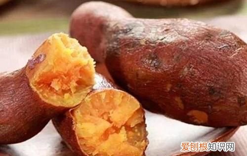 蒸番薯要多久时间，用煤气蒸红薯需要蒸多长时间