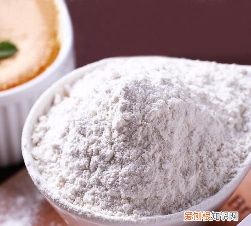 发酵粉是什么粉,酵母粉是什么制成的